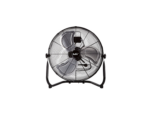 FAN