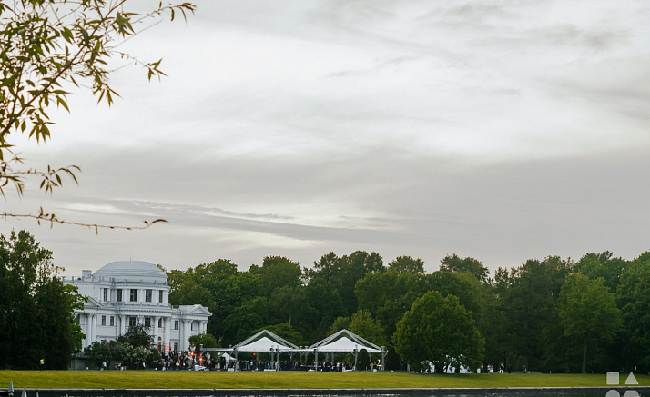 ТОП 50. СОБАКА РУ