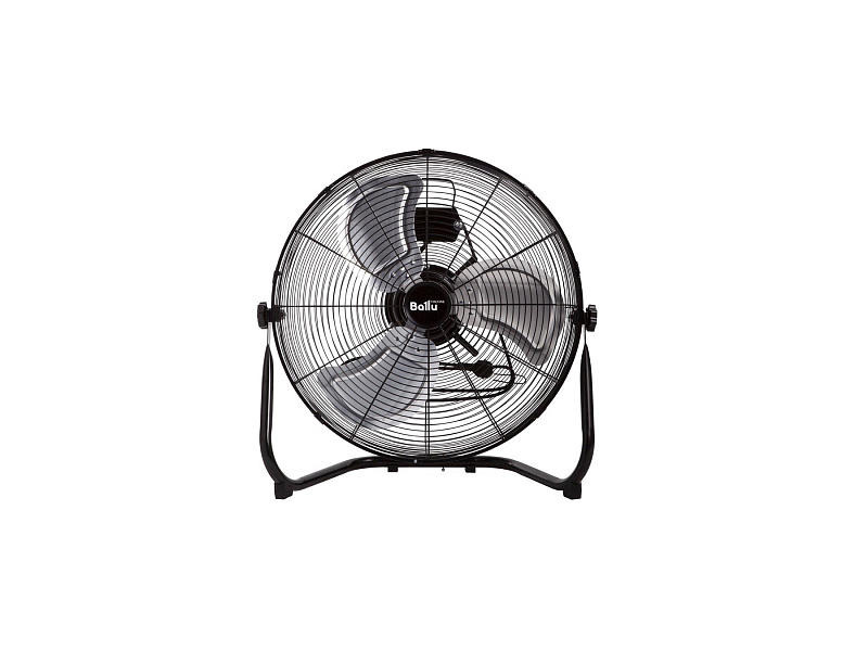 FAN